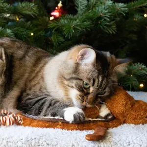 Reindeer Scratcher Mat For Cats lifestyle with brown cat
