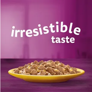 Whiskas Wet Adult Cat Food irresistible taste