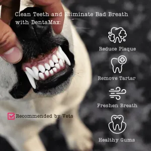 NutriFlex DentaMax Powder For Dogs and Cats benefits