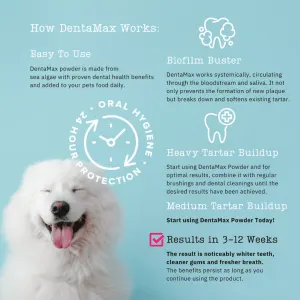 NutriFlex DentaMax Powder For Dogs and Cats how it works