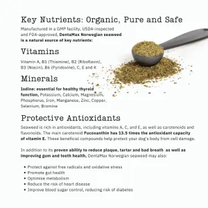 NutriFlex DentaMax Powder For Dogs and Cats ingredients