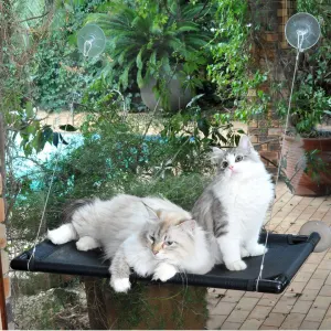 zaBed Window Hammock lifestyle with white and grey cats