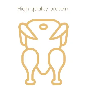 Amigo Confidence Adult Cat Food made with quality protein