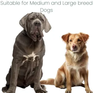 Amigo Confidence Adult Dog Food for Medium & Large Dogs