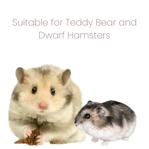 Animal Zone Hamster Food suitable for dwarf and teddy bear hamsters
