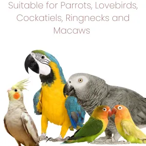 Animal Zone Parrot Fruit Chunks suitable for all types of parrots