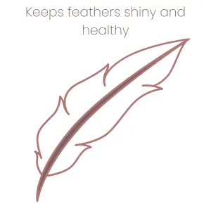 Animal Zone Parrot Plumage Enhancer keeps feathers healthy