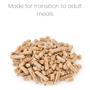 Animal Zone Parrot Soft Food for Weaning made to help transition to adult pellets