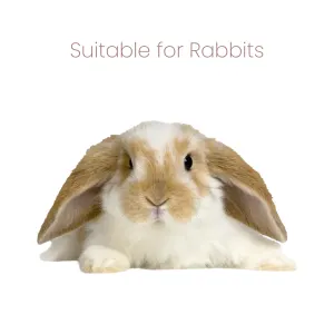 Animal Zone Rabbit Food suitable for all types of rabbits