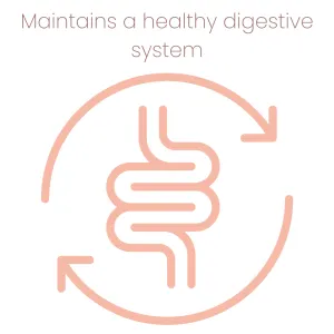 Animal Zone Rabbit Food maintains a healthy digestive system