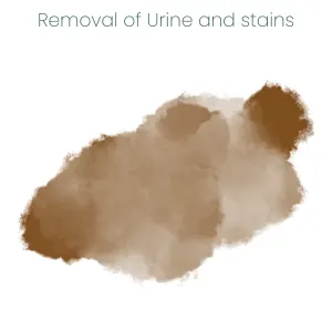 Animal Zone Stain & Odour Removal Spray remves stains and urine marks
