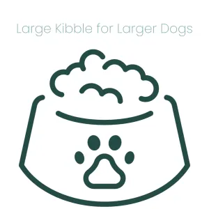 Maxhealth Adult Regular Bites for Medium and Large Dogs larger kibble size