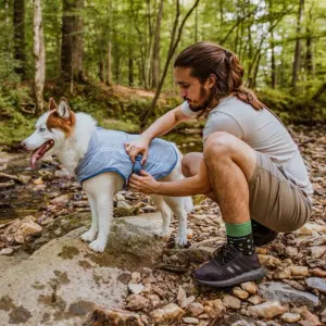 Kurgo Core Cooling Vest lifestyle on white and brown dog