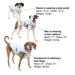 Kurgo Core Cooling Vest sizing of dogs