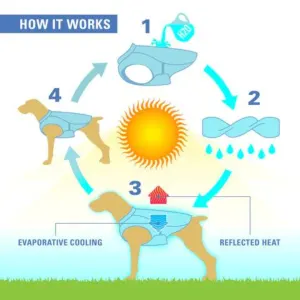 Kurgo Core Cooling Vest infographic of how the vest works