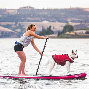Kurgo Surf n Turf Life Jacket lifestyle with dog in jacket on surf board