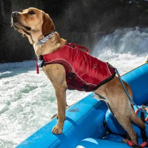 Kurgo Surf n Turf Life Jacket on dog in boat on te water