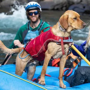 Kurgo Surf n Turf Life Jacket on dog in boat while river rafting