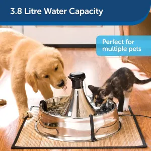 Drinkwell 360° Stainless Steel Pet Fountain – 3.8L lifestyle with cat and dog