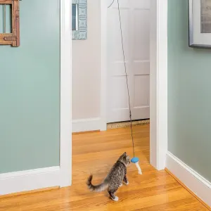 Funkitty Doorway Dangli with cat in doorway playing