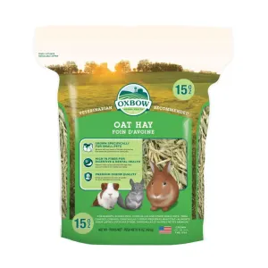 Oat Grass Feeding Hay For Small Pets