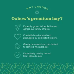Oat Grass Feeding Hay For Small Pets premium hay from oxbow