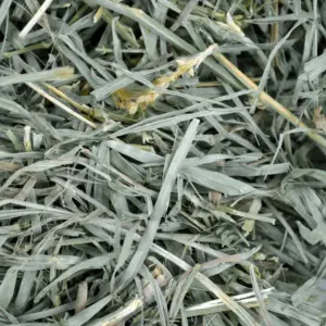 Organic Meadow Grass feeding Hay For Small Pets actual hay