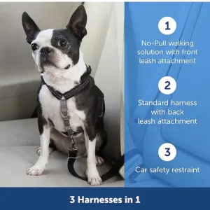 PetSafe® 3 in 1™ Harness and Car Restraint information picture
