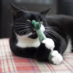 Battersea Catnip Toys For Cats lifestyle with black and white cat playing with fish design