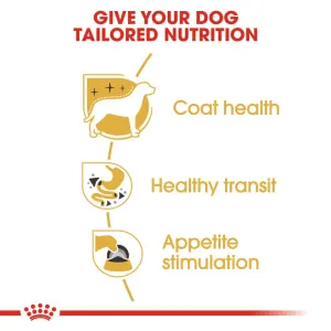 Royal Canin Adult Chihuahua Wet Dog Food tailored nutrition