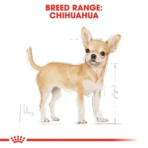 Royal Canin Adult Chihuahua Wet Dog Food formulated breed range