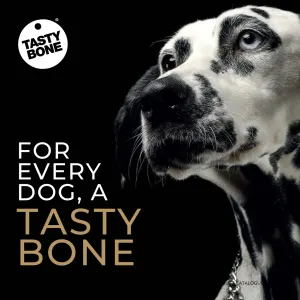 Tasty Bone Chew Toy for every dog a perfect sized bone