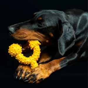 Tasty Bone Chew Toy lifestyle with braai chicken flavored chew bone