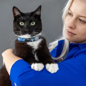 Rogz FashionCat Collar lifestyle one
