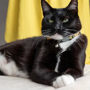 Rogz FashionCat Collar lifestyle with black and white cat