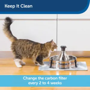 Replacement Charcoal Filter For 360 Fountains replace 2 to 4 weeks