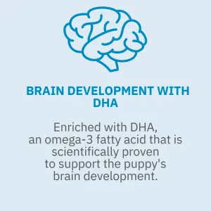 Royal Canin Babydog Milk for Puppies helps brain development