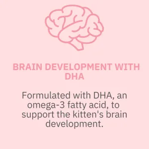 Royal Canin Babycat Milk for Kittens brain development