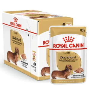Royal Canin Adult Dachshund Wet Dog Food