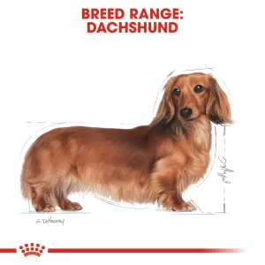 Royal Canin Adult Dachshund Wet Dog Food from the breed range