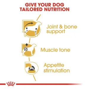 Royal Canin Adult Dachshund Wet Dog Food tailored nutrition