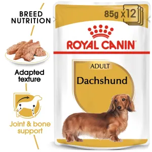 Royal Canin Adult Dachshund Wet Dog Food information picture