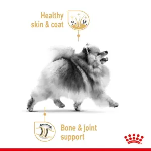 Royal Canin Adult Pomeranian Wet Dog Food  skin and health support