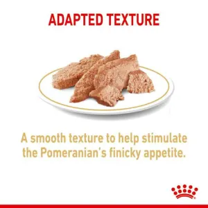 Royal Canin Adult Pomeranian Wet Dog Food loaf texture