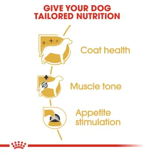 Royal Canin Adult Poodle Wet Dog Food information image