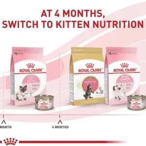 Royal Canin Babycat Instinctive Tin Kitten Wet Cat Food switch at 4 months old