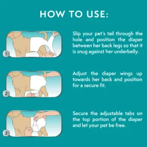 Simple Solution Disposable Diapers for Dogs how to apply the diaper