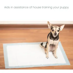 Beaphar Dog Puppy Trainer Drops assists in house training your dog