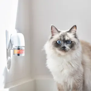 Beaphar Cat Catcomfort Calming Diffuser Start-Kit lifestyle image