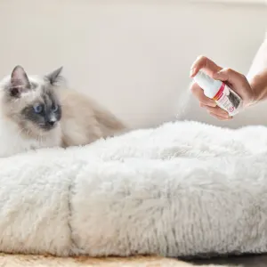 Beaphar Cat Catcomfort Calming Spray being used on bed